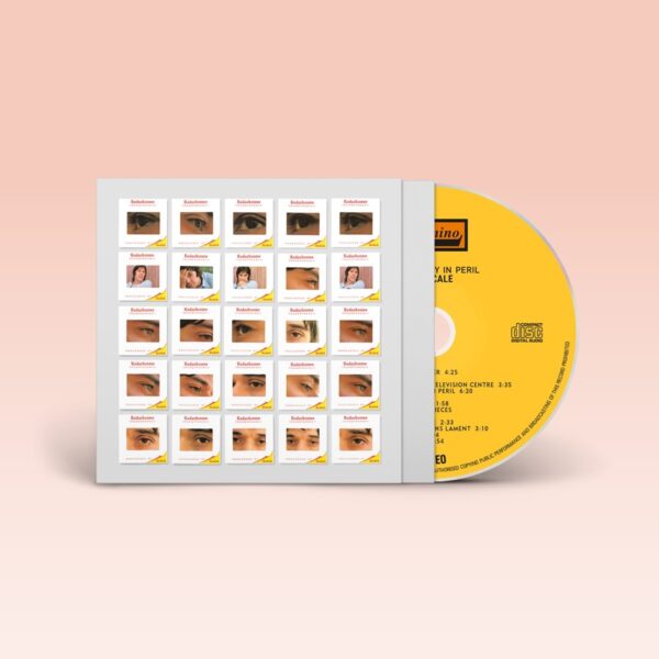 John Cale - The Academy In Peril (2024 Version) - Image 2