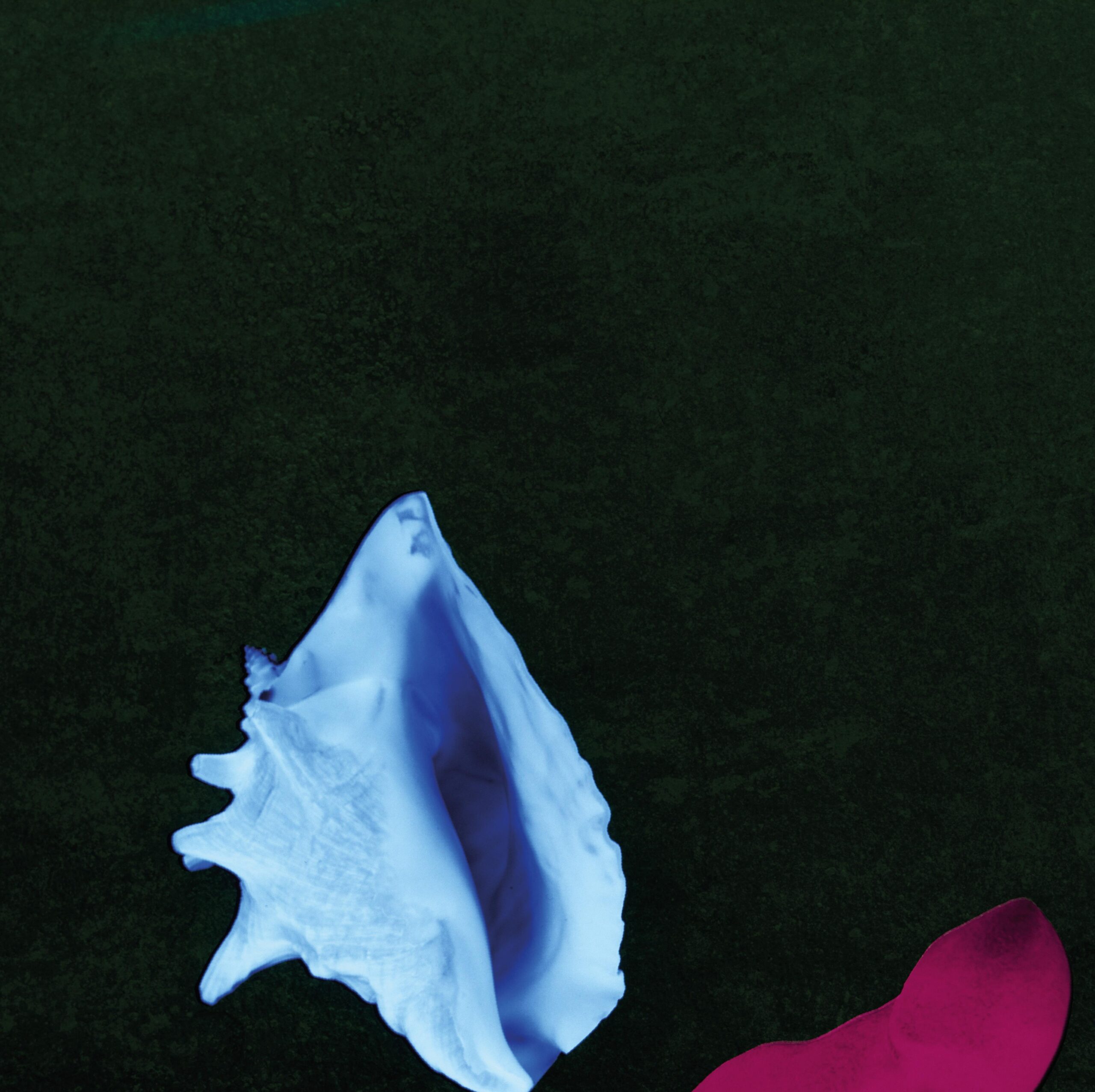 New Order - Touched By The Hand Of God / Touched By The Hand Of Dub