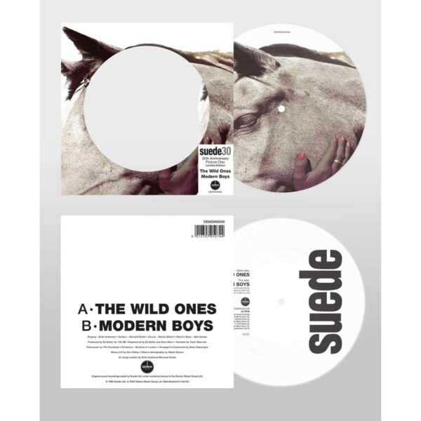 Suede - The Wild Ones (30th Anniversary) - Image 2