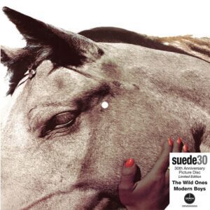 Suede - The Wild Ones (30th Anniversary)