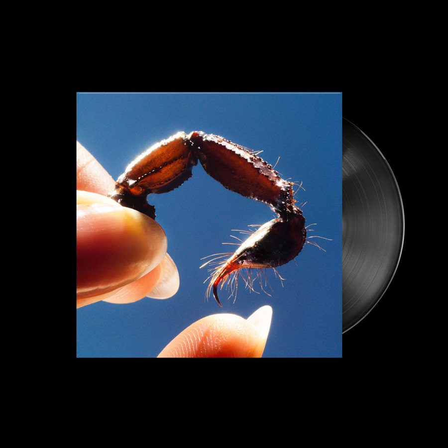 Squid - Cowards - Image 2