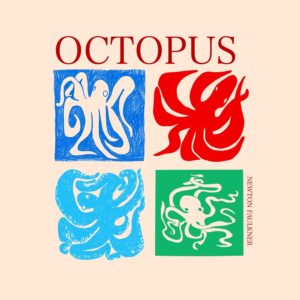 Newton Faulkner – OCTOPUS