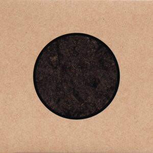 Swans – Birthing