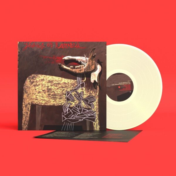 Alan Sparhawk - With Trampled by Turtles - Image 3