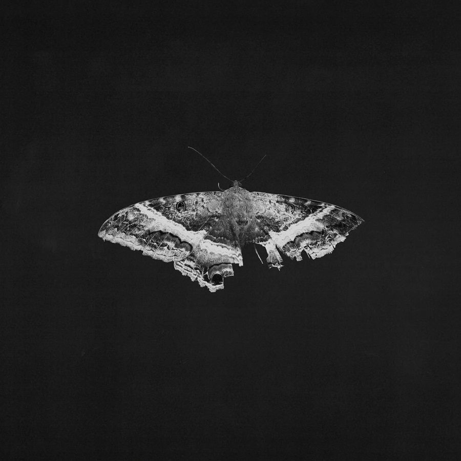 Kendrick Lamar - To Pimp a Butterfly (10th Anniversary)