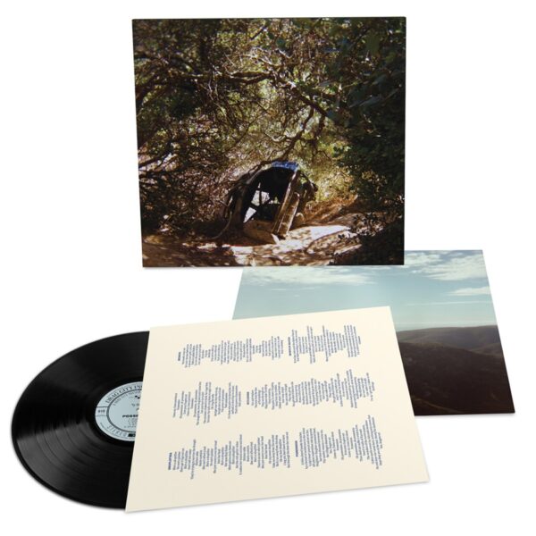 Ty Segall - Possession - Image 2