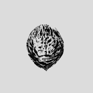 Black Lips – Bebop Armageddon (Detours & Offcuts From Season Of The Peach)