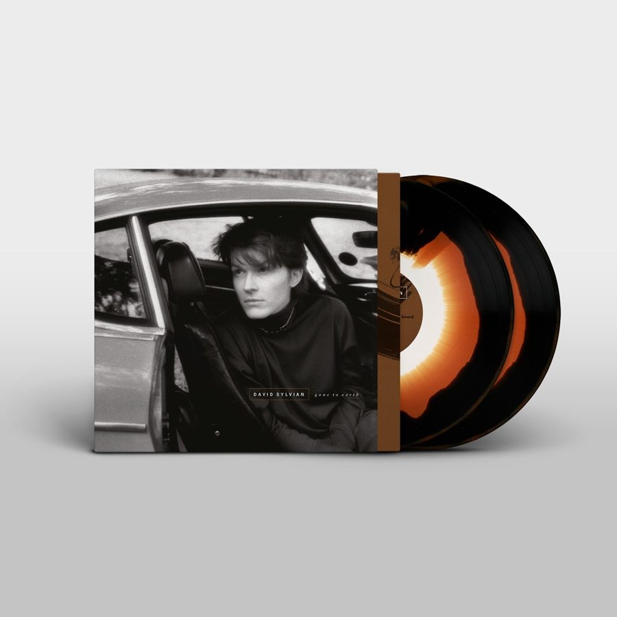 David Sylvian - Gone To Earth - Image 2