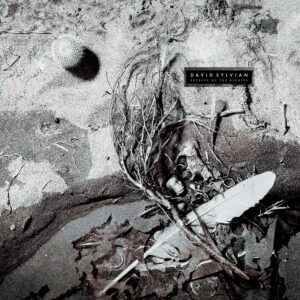 David Sylvian - Secrets Of The Beehive