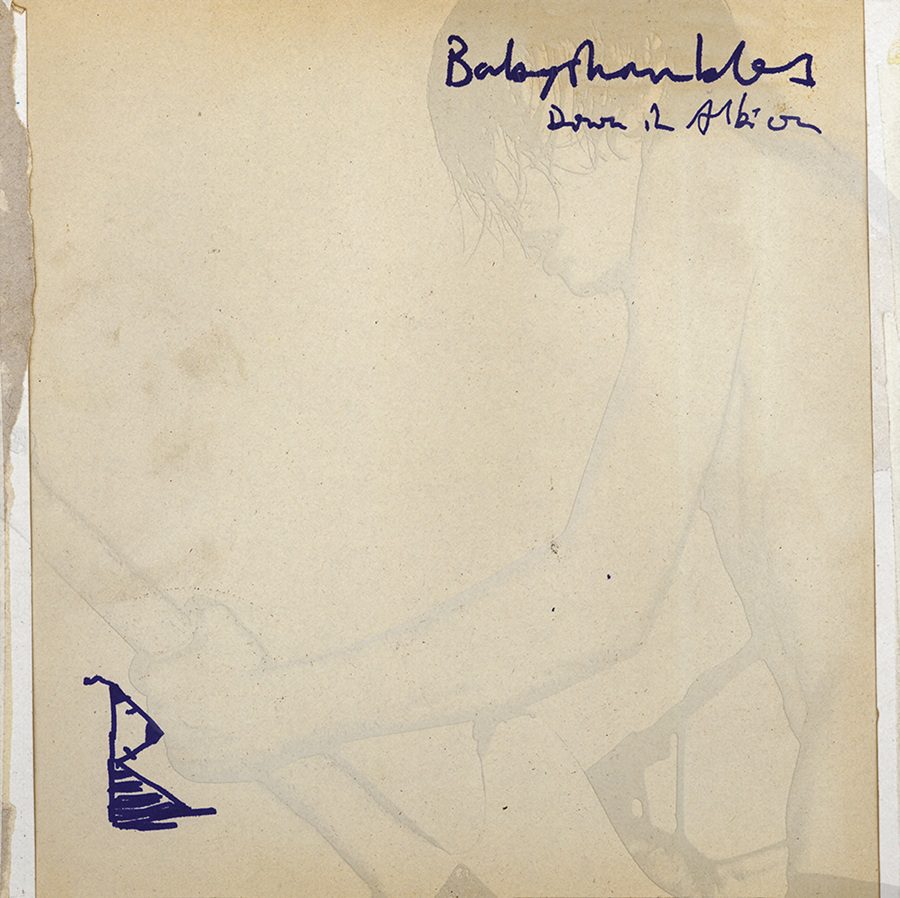 Babyshambles - Down in Albion (20th Anniversary)