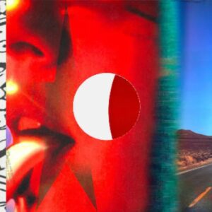 Fatboy Slim & The Rolling Stones – Satisfaction Skank