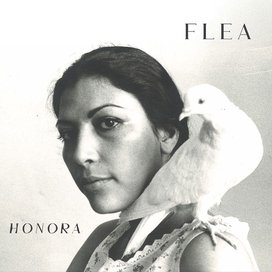 Flea - Honora
