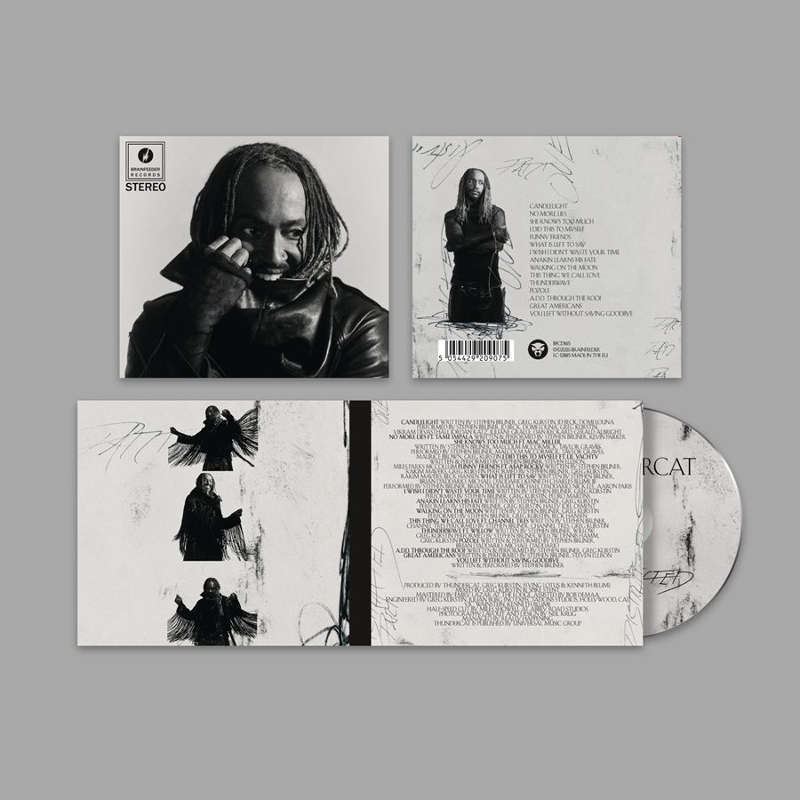 Thundercat - Distracted - Image 2