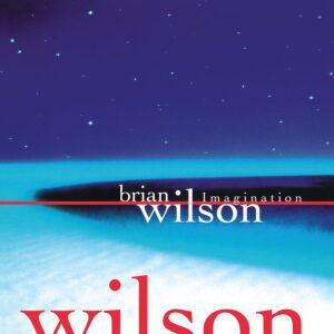 Brian Wilson – Imagination