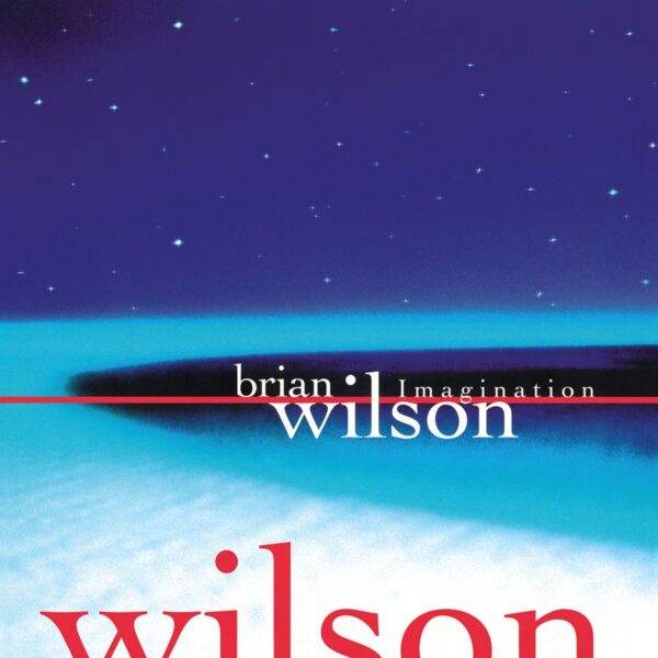 Brian Wilson – Imagination