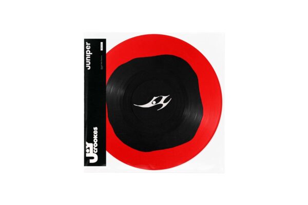 Joy Crookes – Juniper – BBC Maida Vale Live Sessions