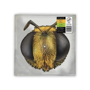 King Gizzard & The Lizard Wizard - Big Fig Wasp