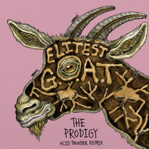 Sleaford Mods feat. Aldous Harding - Elitest G.O.A.T. (The Prodigy Acid Thunder Mix)