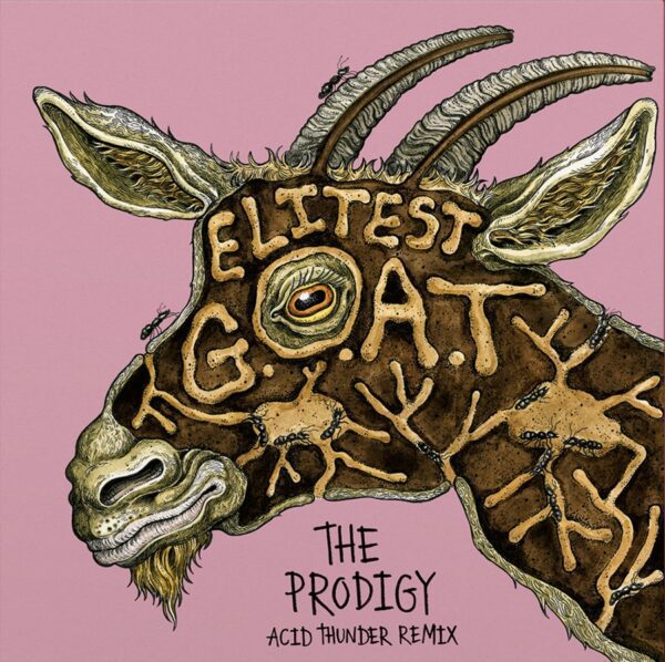Sleaford Mods feat. Aldous Harding – Elitest G.O.A.T. (The Prodigy Acid Thunder Mix)